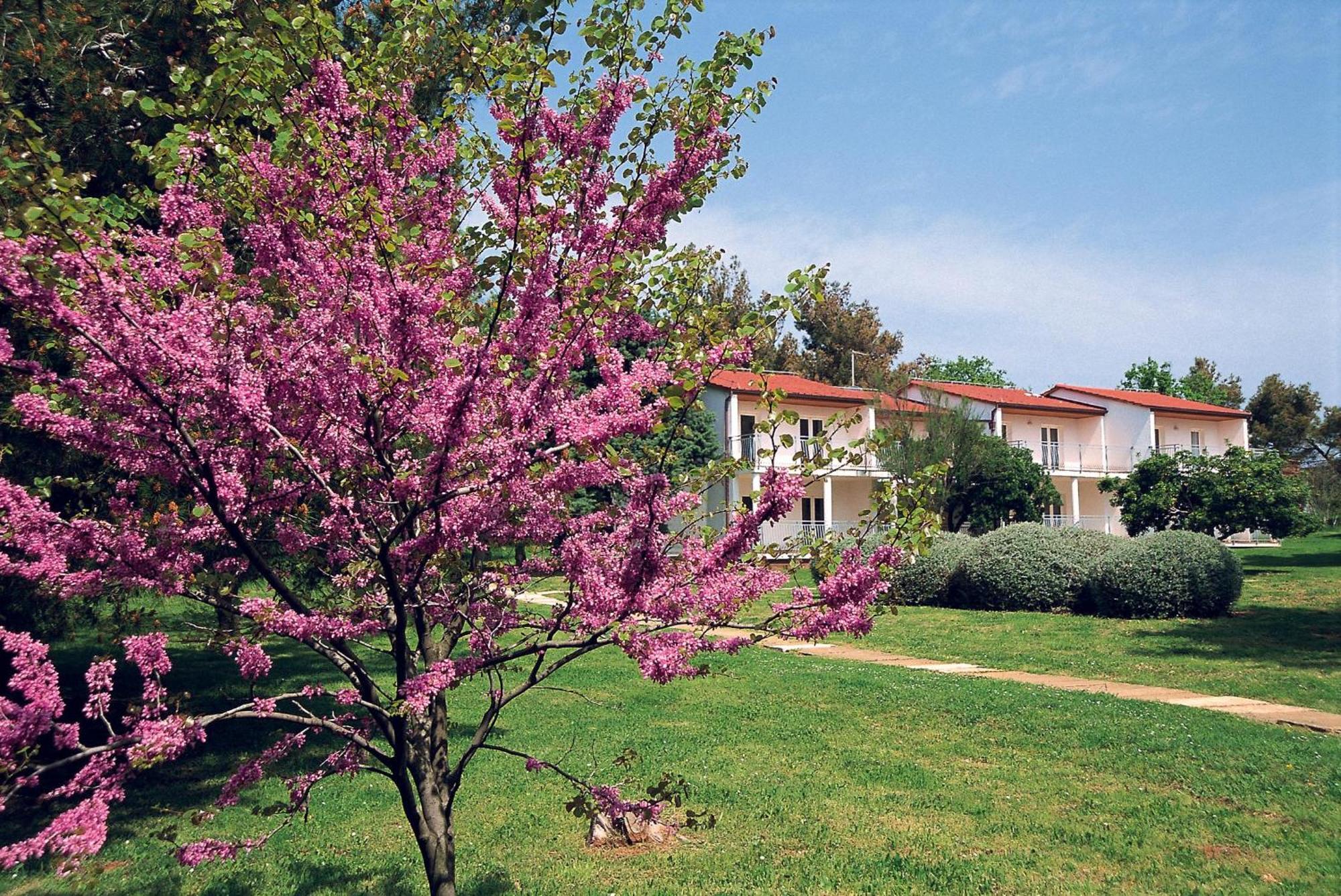 Ai Pini Medulin Resort Bagian luar foto
